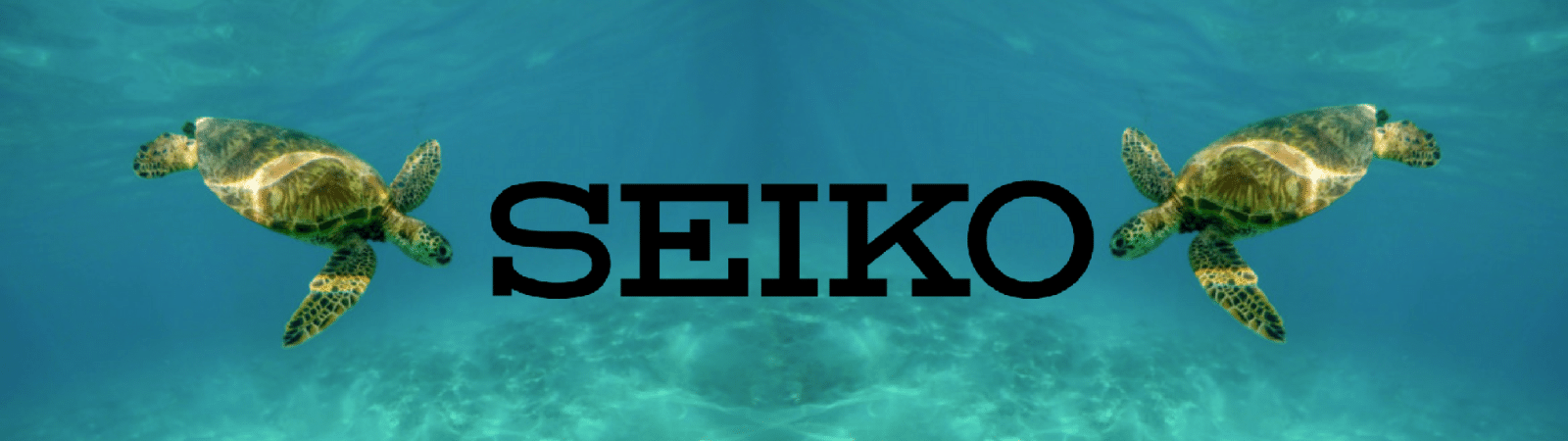 Let's Save The Ocean and The Turtles with Seiko!