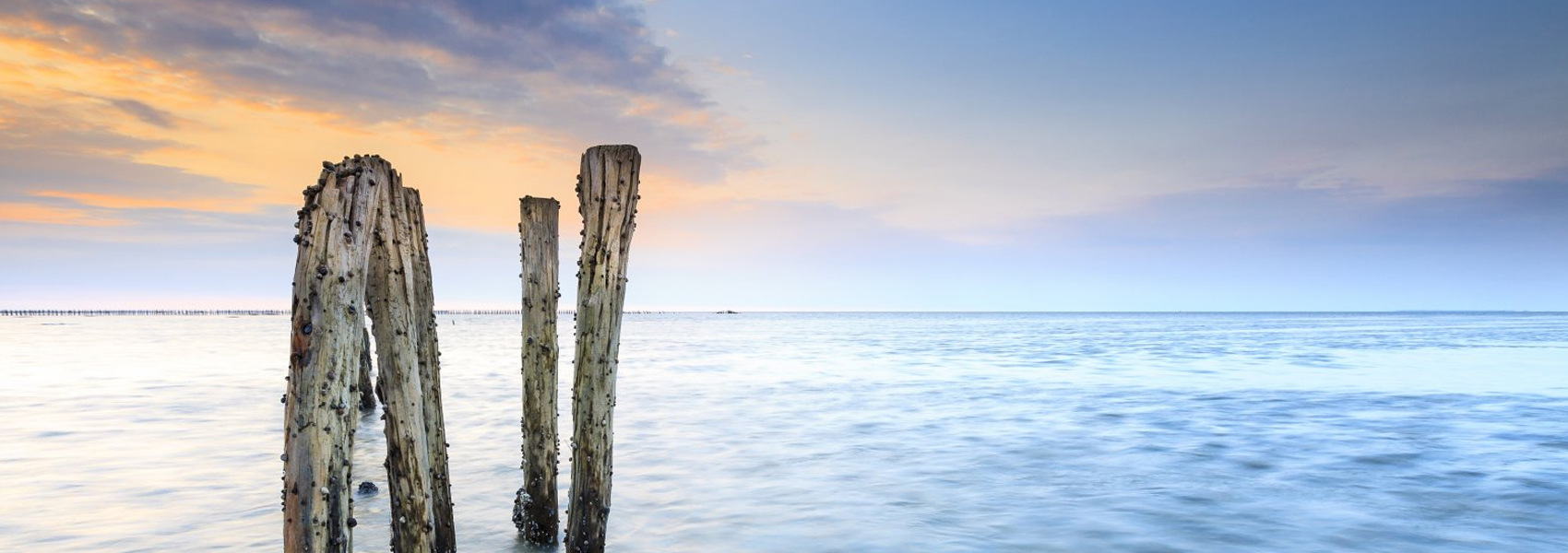 ORIS Aquis Dat Watt Limited Edition’s role in preserving the Wadden Sea.