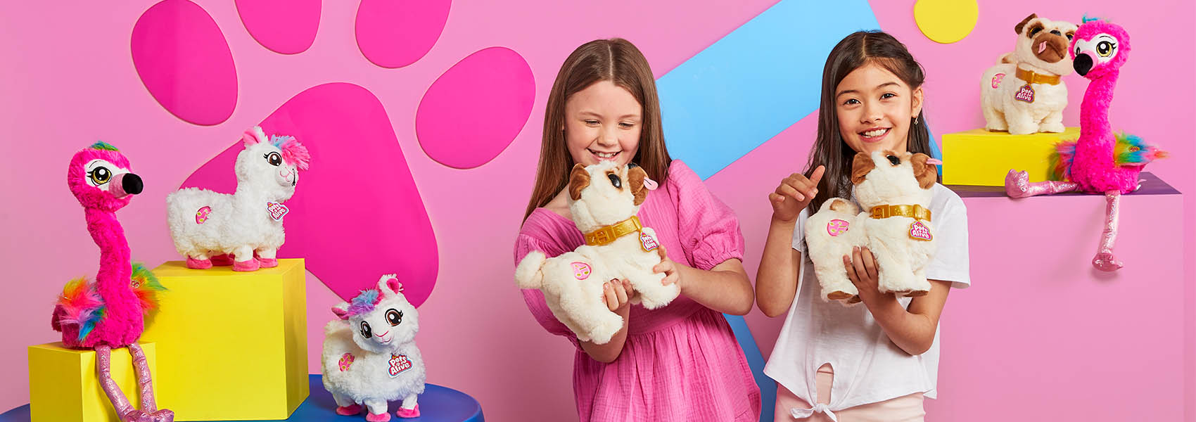 DFD welcomes Zuru Brands