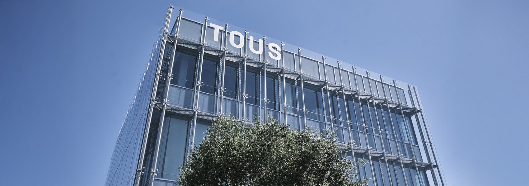 A New Gem in Our Portfolio: DFD Welcomes TOUS